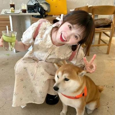 情歌风波